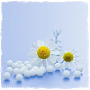 Отвар ромашки при стоматите